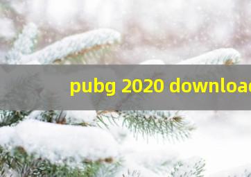 pubg 2020 download